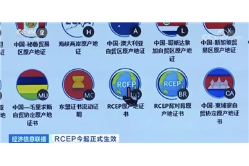 RCEP生效實施！以后買進(jìn)口汽車、護(hù)膚品、水果…便宜了！